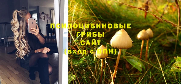 каннабис Белокуриха