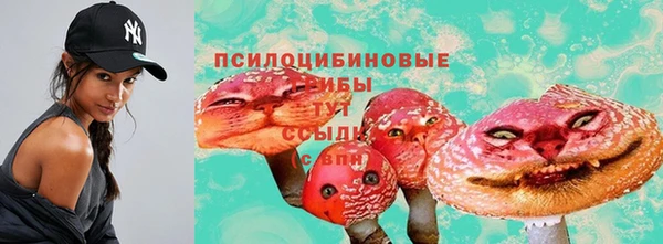 гидропоника Беломорск